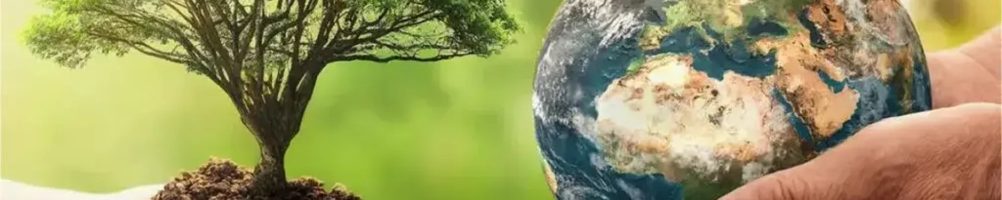 EnvironmentalPreservation